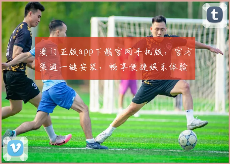 澳门正版app下载官网手机版，官方渠道一键安装，畅享便捷娱乐体验，安全可靠